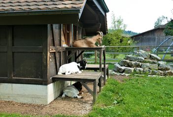 Generationen-Spielplatz Pflegeheim Sennhof, Vordemwald - Spielplätze im Aargau