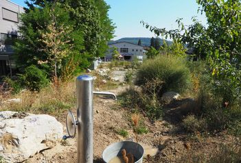 Wasserspielplatz Langwies, Bad Zurzach - Spielplatz im Aargau