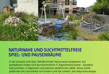 Flyer zum Projekt “Naturnahe und suchtmittelfreie Spiel-und Pausenräume” (2025-2028)