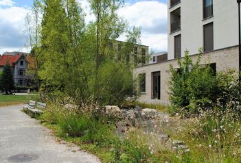 Oehlerpark Aarau - naturnaher Stadtpark auf SpielplatzAargau.ch