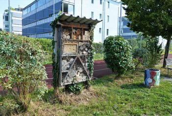 Naturnahe Schulumgebung Schule Dorf und öffentlicher Gemeindespielplatz Suhr - Spielplätze im Aargau