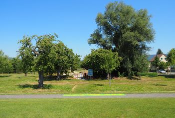 Exkursion Naturnahe Spielräume Naturama Aargau