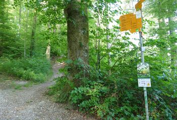 Aarauer Natuererlebnisweg / Wildpark Roggenhausen, Naturerlebnispark - Spielplätze im Aargau